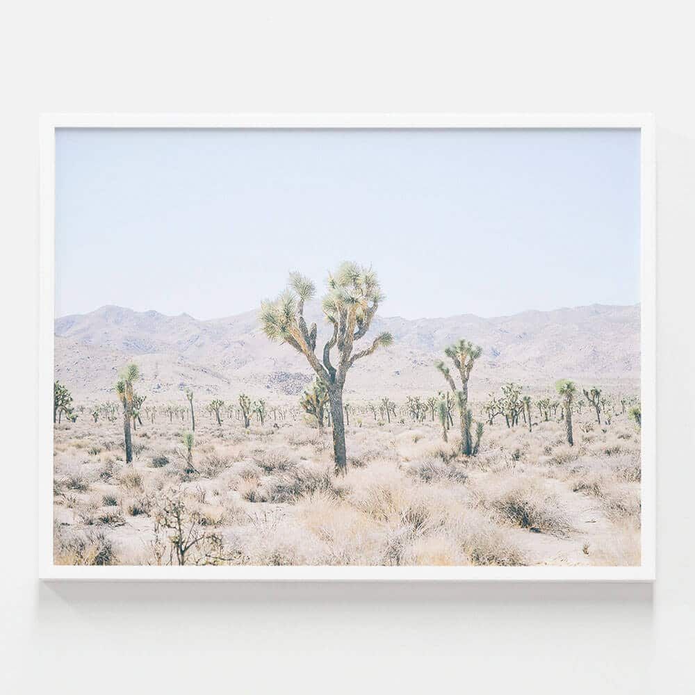 Desert Plain | Wall Art Poster Or Framed Print | 41 Orchard Throughout Current Desert Palms Wall Art (View 11 of 20)