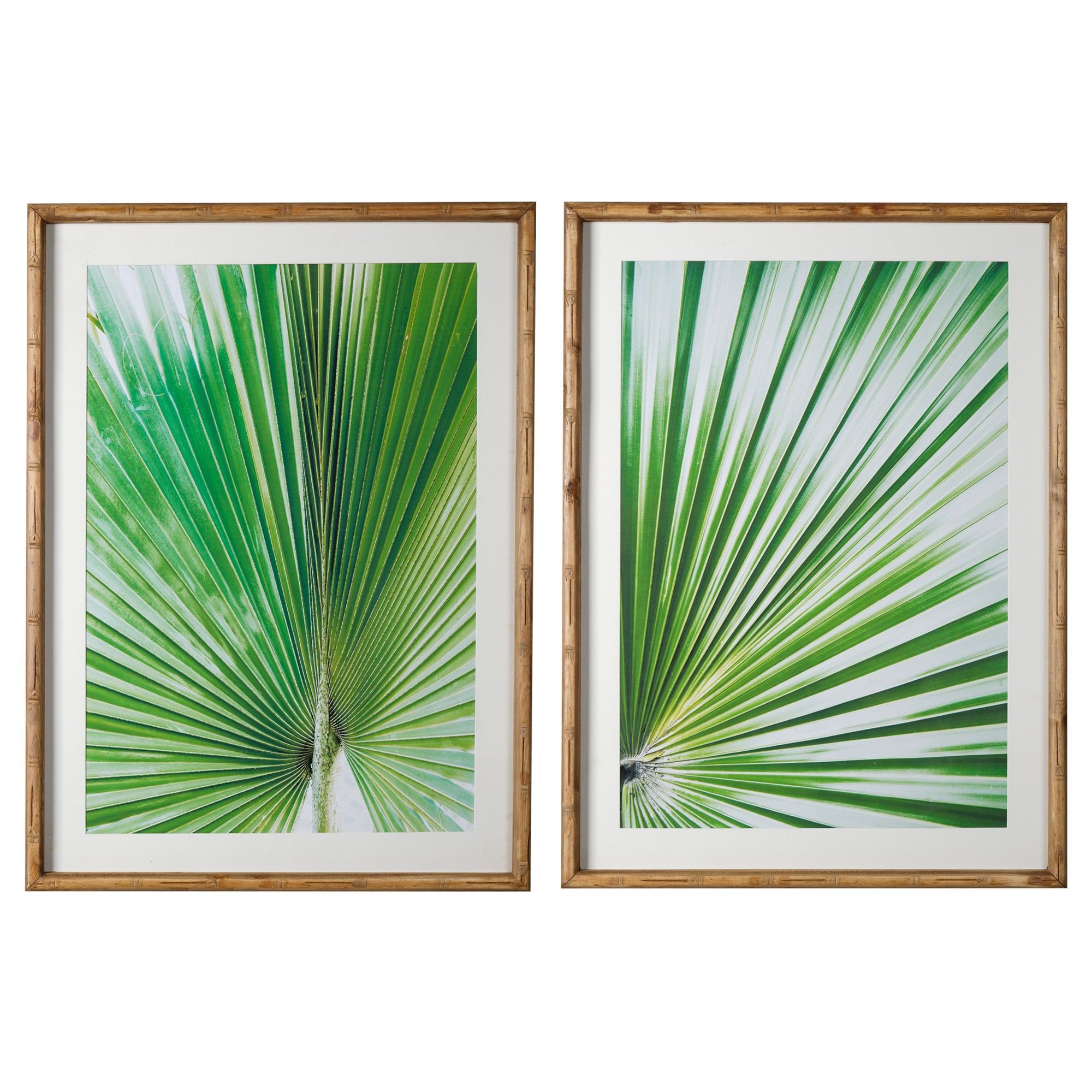 Fan Palm Leaf 2 Piece Framed Wall Art Print Set, 74cm With Regard To Current Desert Palms Wall Art (View 19 of 20)