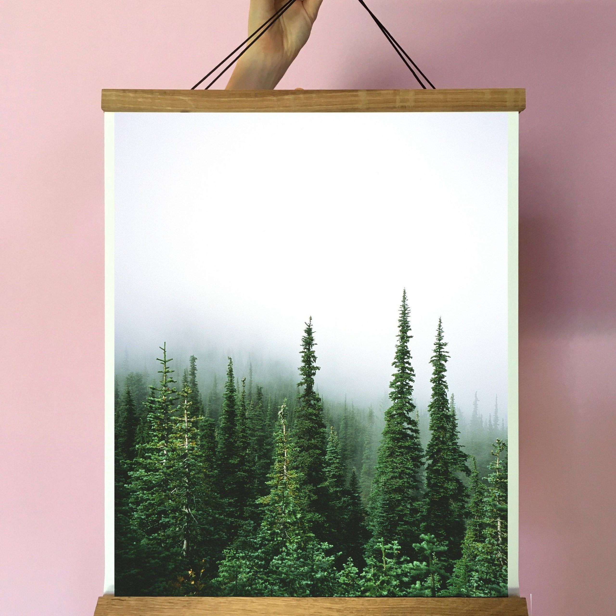 Forest Art Print.wall Decor.several Sizes.pacific Northwest.trees (View 3 of 20)