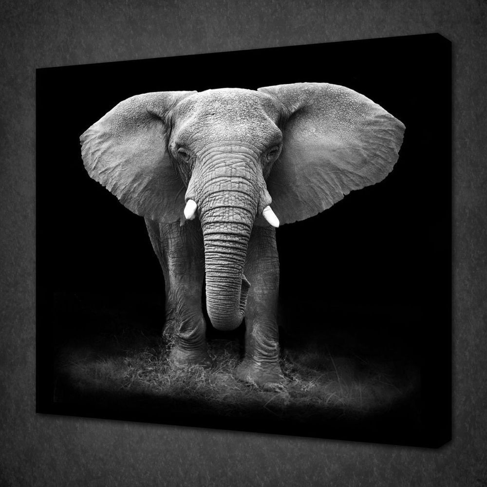 Framed Black White Elephant Animals Design Canvas Print Wall Art Decor Within 2018 Elephants Wall Art (View 6 of 20)