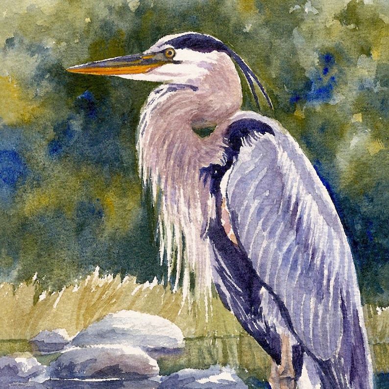 Great Blue Heron Watercolor Print Bird Wall Art Decorjanet | Etsy In Most Recently Released Heron Bird Wall Art (View 14 of 20)