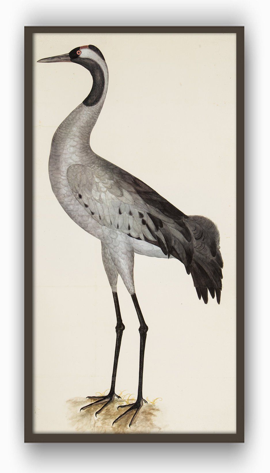 Heron Print Large Bird Wall Art Decor Antique Bird | Etsy | Vintage With Most Popular Heron Bird Wall Art (View 9 of 20)