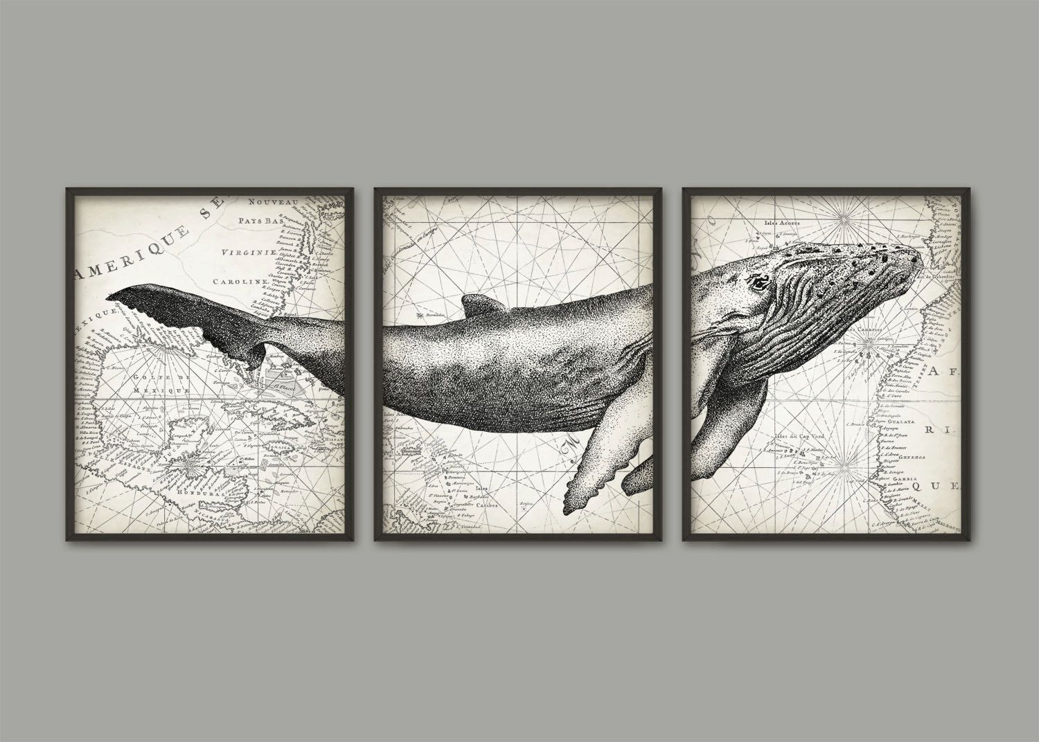 Humpback Whale Wall Art Poster Set Of 3 Whalequantumprints | Whale Pertaining To 2018 Humpback Whale Wall Art (View 7 of 20)