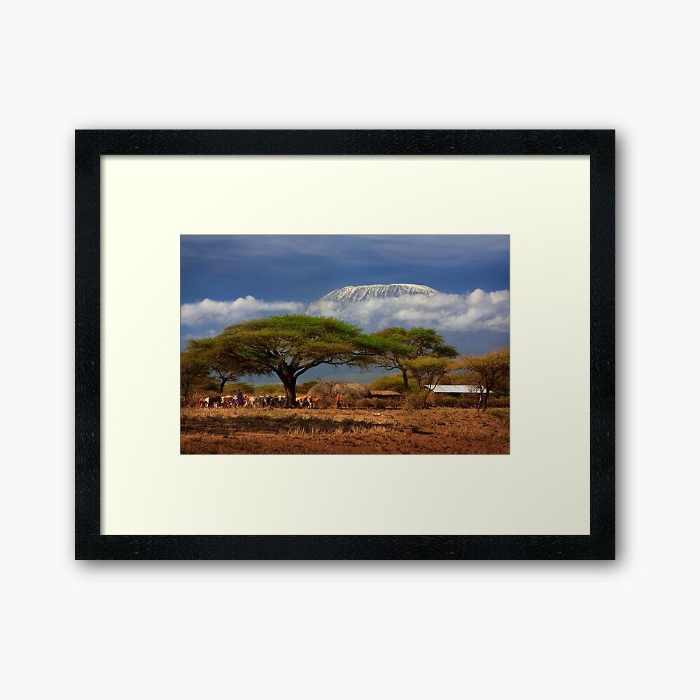 "kilimanjaro, And The Acacia Trees. Kenya, Africa (View 14 of 20)
