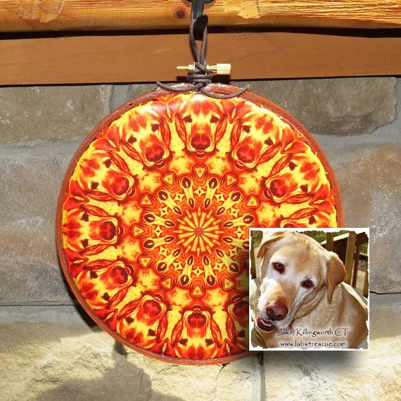 Labrador Retriever Rescue Dog Tailspinner – Abstract Native Mandala In Most Recent Tail Spin Wall Art (View 1 of 20)