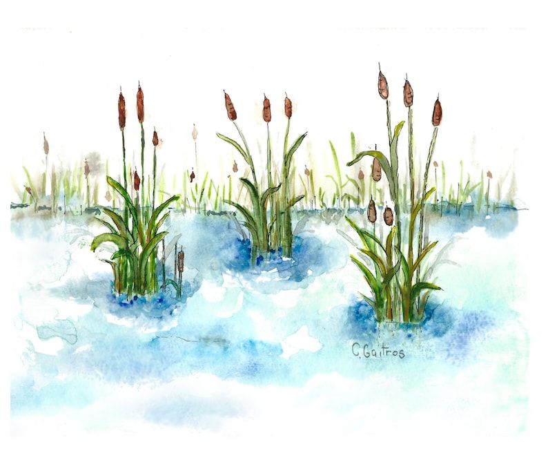 Landscape Art Lake Life Watercolor Pond With Cattails Wall | Etsy Intended For Most Current Cattails Wall Art (View 18 of 20)