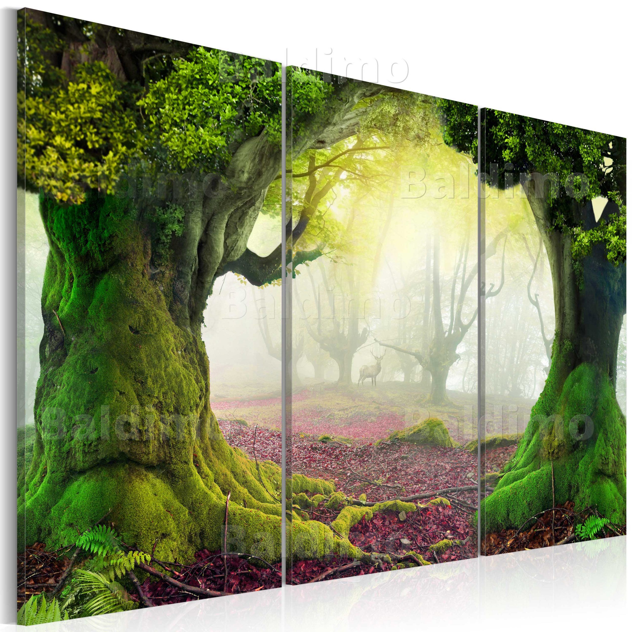 Large Canvas Wall Art Print + Image + Picture + Photo Nature 030112 70 Within Most Up To Date Natural Wall Art (View 8 of 20)