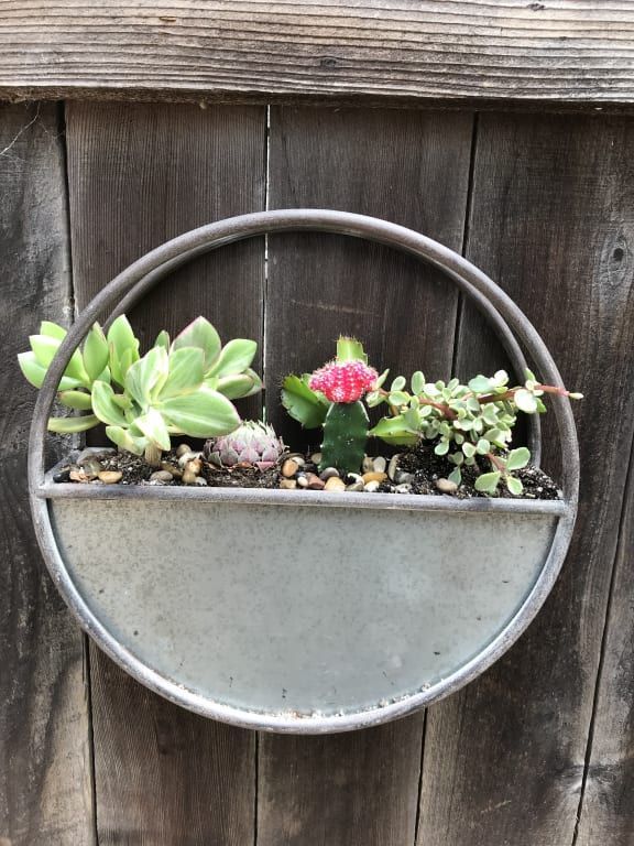 Large Half Circle Galvanized Metal Wall Planter | World Market Throughout Most Up To Date Half Circle Metal Wall Art (View 1 of 20)