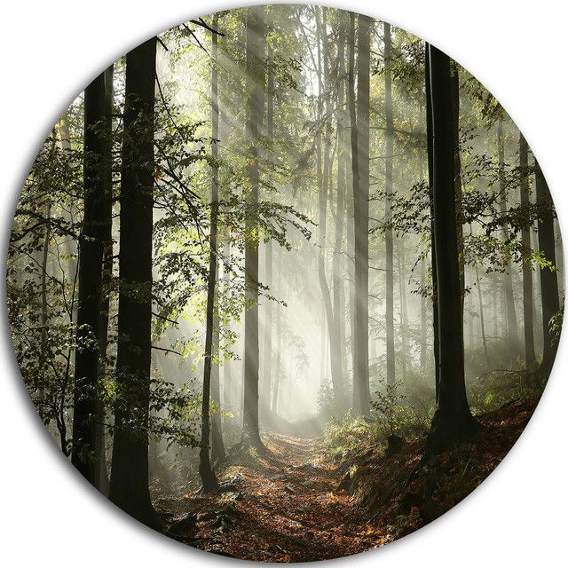 Light In Dense Fall Forest With Fog, Landscape Disc Metal Wall Art Pertaining To Most Recently Released Autumn Metal Wall Art (View 18 of 20)