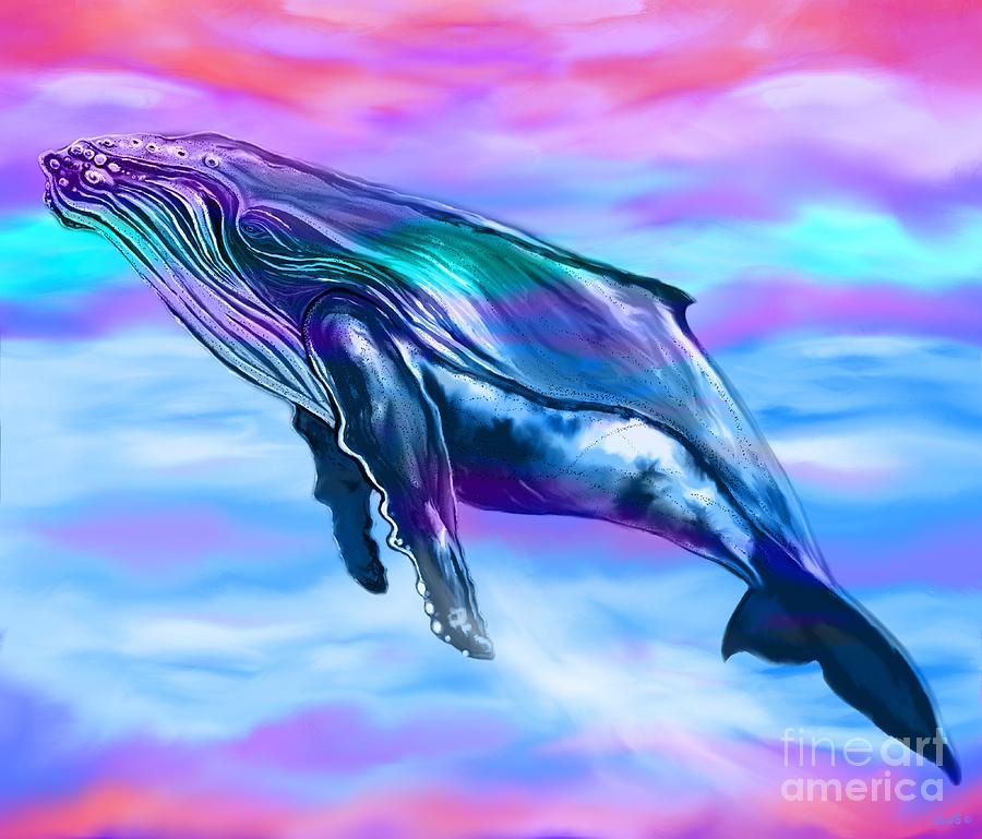 Lone Humpback Whale Digital Artnick Gustafson Throughout Most Popular Humpback Whale Wall Art (View 18 of 20)