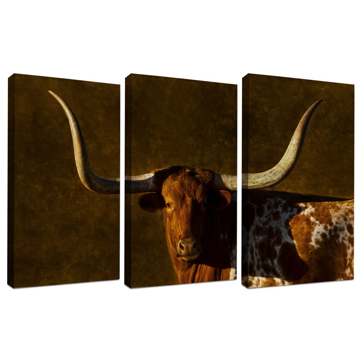 Longhorn Legacy Triptych Wall Art – Set Of 3 Regarding Recent Long Horn Wall Art (View 14 of 20)