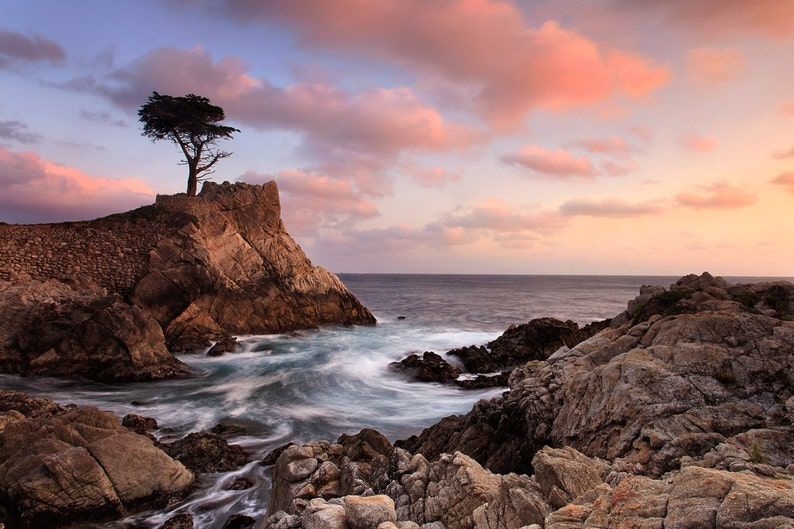 Metal Wall Art Lone Cypress Tree Photo Pebble Beach Sunset | Etsy Regarding Best And Newest Cypress Wall Art (View 18 of 20)