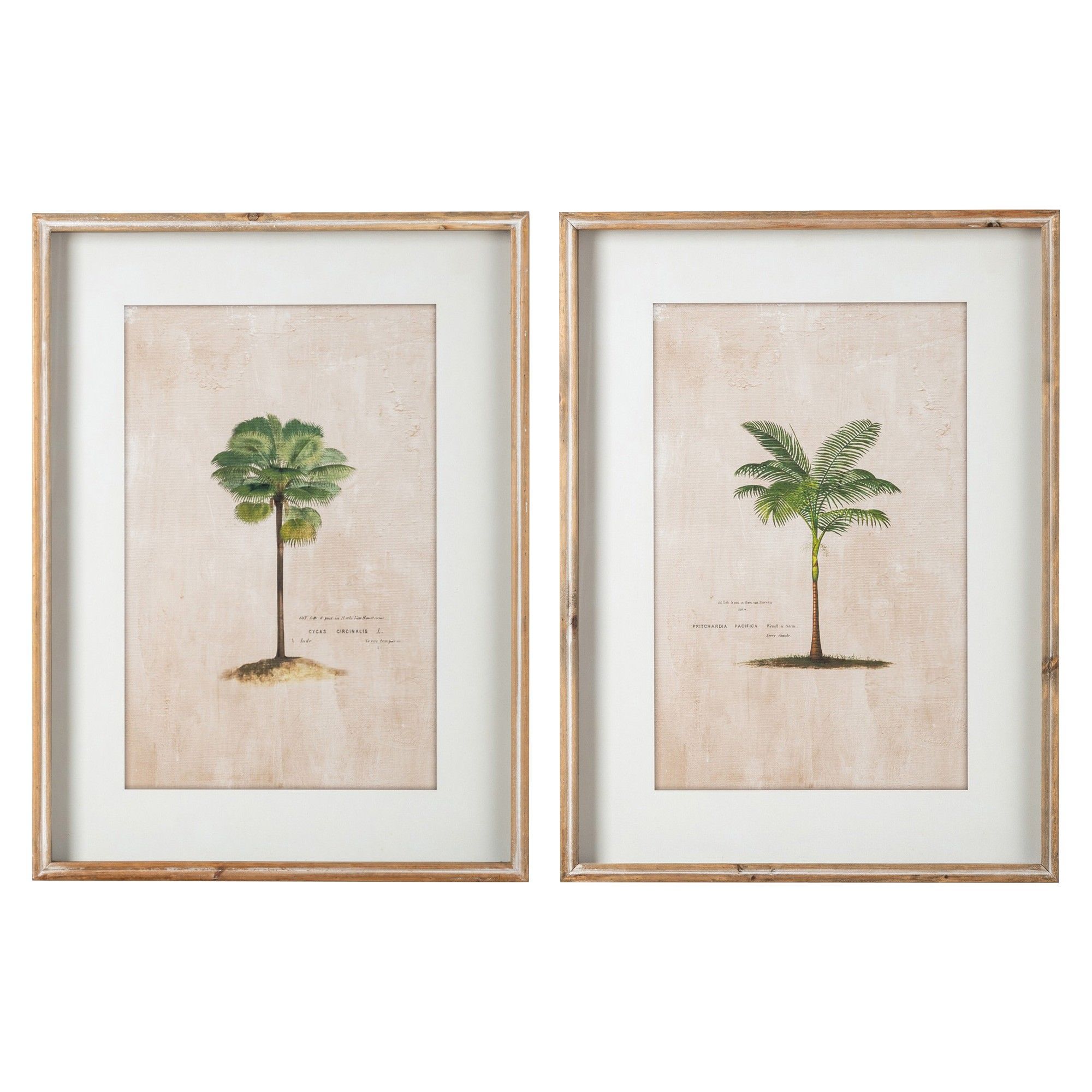 Palm Tree Illustration 2 Piece Framed Wall Art Print Set, 65cm Pertaining To 2017 2 Piece Circle Wall Art (View 18 of 20)