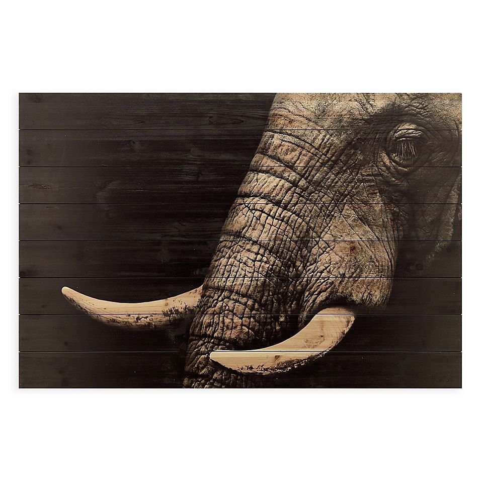 Pinapril Benson On Diy | Wood Wall Art, Animal Wall Art, Elephant Throughout Current Elephants Wall Art (View 8 of 20)
