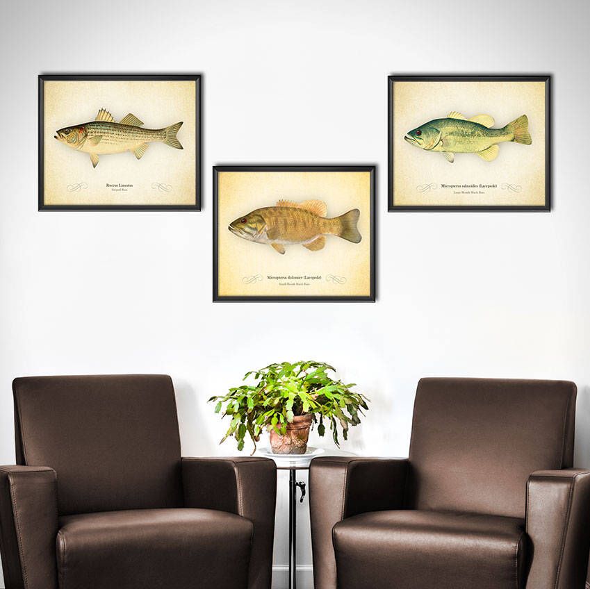 Pinjulie Johnson On Lake Martin | Bass Fishing Decor, Fishing Decor Intended For Most Current The Bassist Wall Art (View 12 of 20)