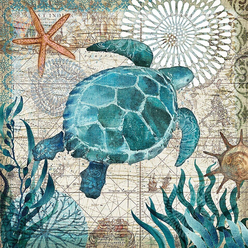 Portfolio Arts Group Monterey Bay Sea Turtle 24" Square Canvas Wall Art Inside Recent Turtles Wall Art (View 9 of 20)