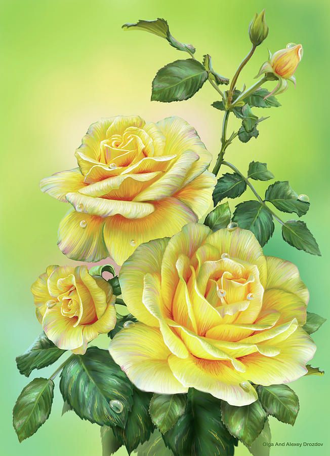 Roses Yellow Digital Artolga And Alexey Drozdov With Recent Yellow Bloom Wall Art (Gallery 20 of 20)