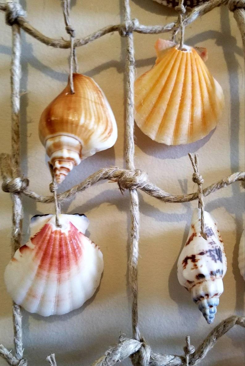 Sea Shell Hanging Wall Art Wall Decoration Palm Tree Sea | Etsy With Regard To Current Sea Wall Art (View 7 of 20)