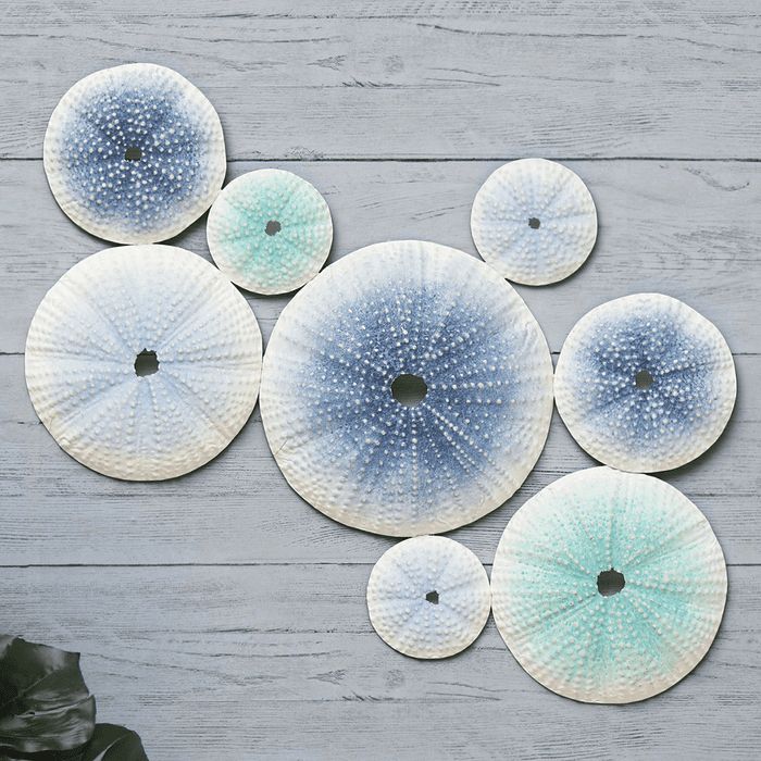 Sea Urchins Metal Wall Art Within Latest Ocean Metal Wall Art (View 18 of 20)