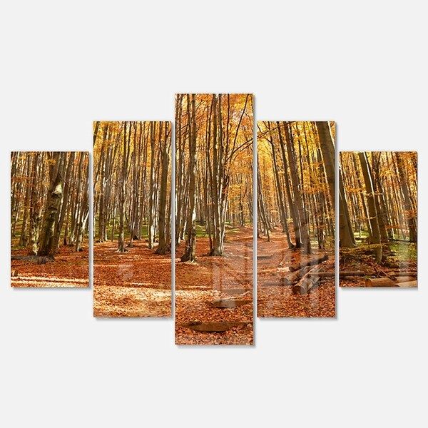 Shop Designart 'colorful Fall Forest With Fallen Leaves' Modern Forest In Current Autumn Metal Wall Art (View 4 of 20)
