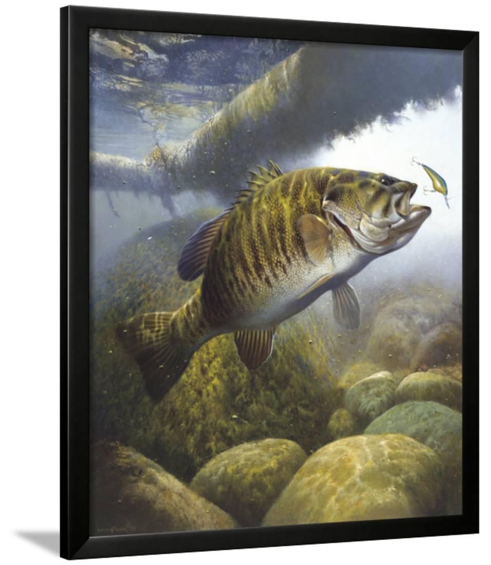 Smallmouth Bass Framed Print Wall Artlarry Tople – Walmart Inside Most Recent The Bassist Wall Art (View 18 of 20)