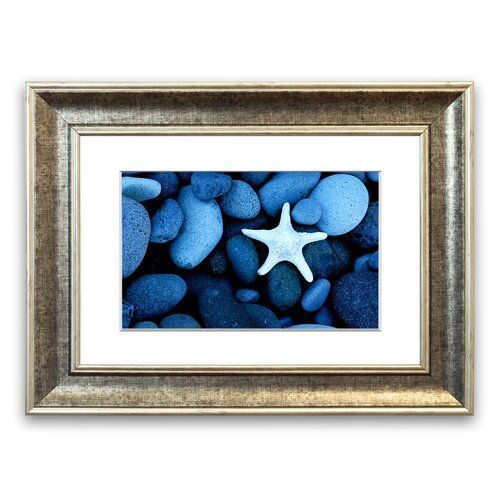 Star Fish Rocks Cornwall Bathroom Framed Wall Art East Urban Home Frame With Regard To Best And Newest Gunmetal Wall Art (View 6 of 20)