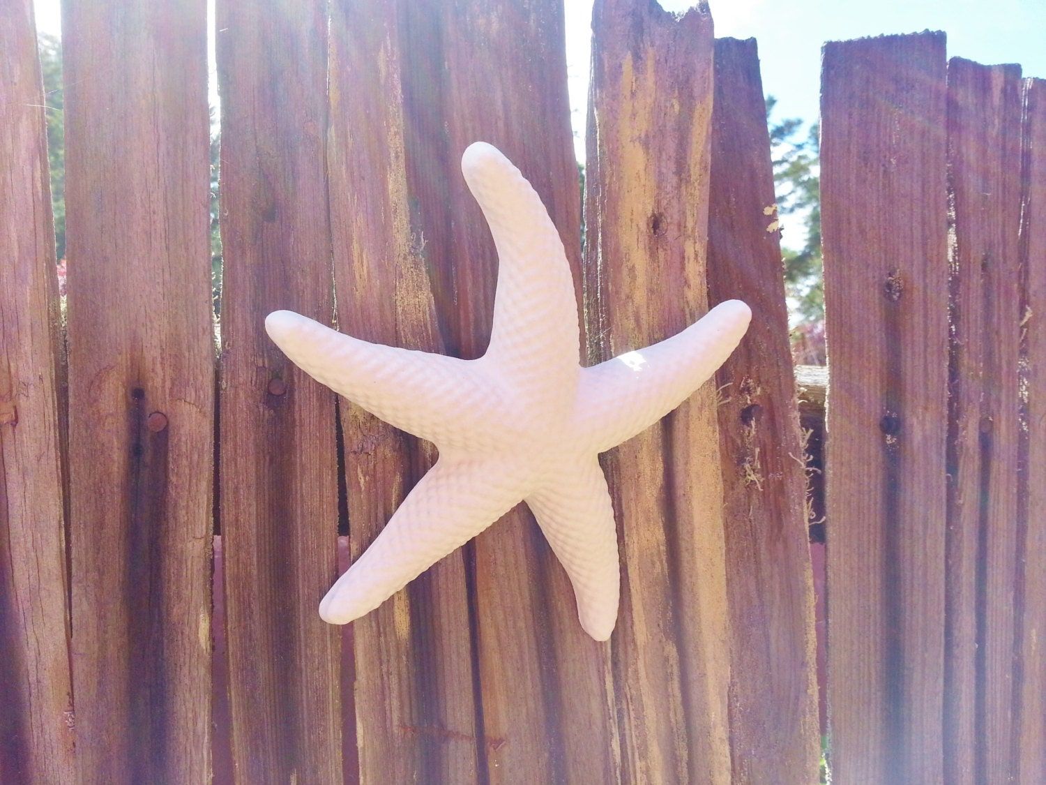 Starfish Wall Decor Beach Decor Seashellsredwoodstoneworks Within Most Recent Starfish Wall Art (View 6 of 20)