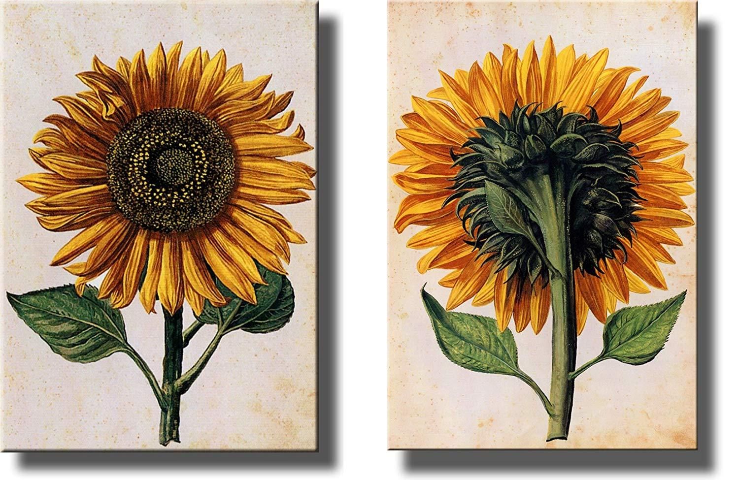 Sunflowers Picture On Stretched Canvas, Set Of 2 , Wall Art Decor Ready With Regard To Newest Sunflower Metal Framed Wall Art (View 13 of 20)
