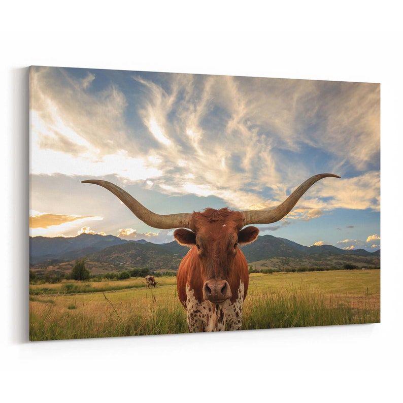 Texas Longhorn Canvas Print Texas Longhorn Wall Art Canvas | Etsy Regarding 2017 Long Horn Wall Art (View 3 of 20)