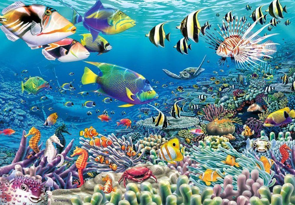 Tropical Fish Reef Aquarium Wall 8 5x12 Wallpaper Wall Decor Mural With Recent Aquarium Wall Art (View 14 of 20)