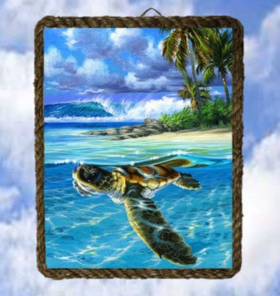 Turtle Swimming In Ocean Wall Decor Art 9x 11 Rope Frame Intended For Recent Swimming Wall Art (View 17 of 20)