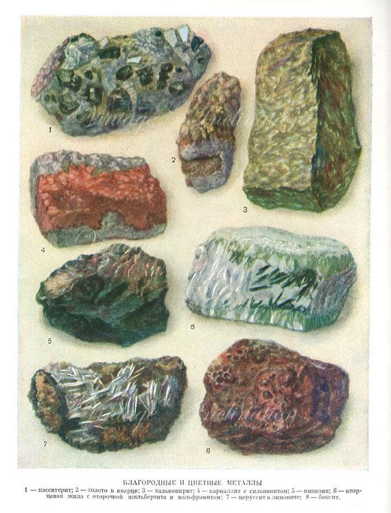 Vintage Minerals Print Antique Gems Precious Stones 1940s Print, Art With Most Current Minerals Wall Art (View 10 of 20)
