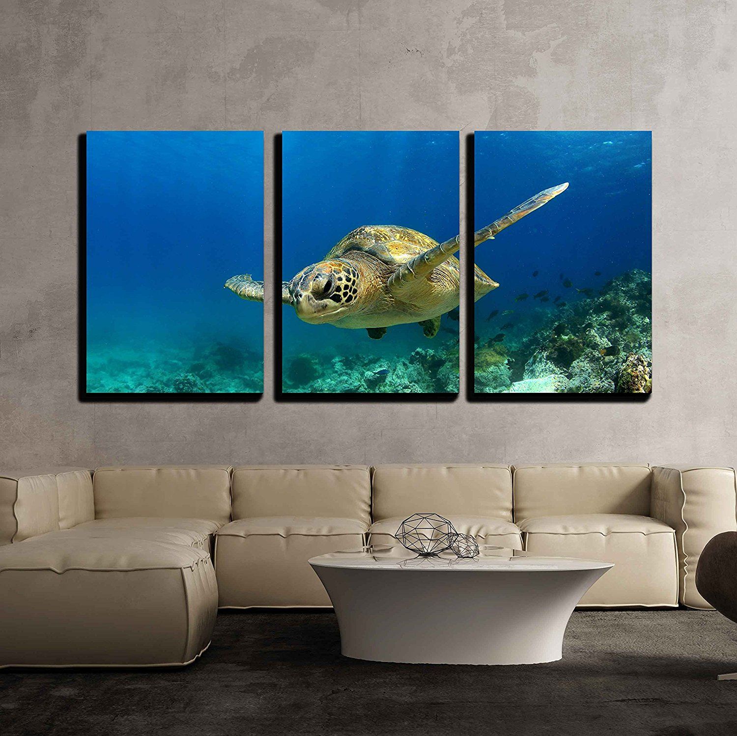 Wall26 3 Piece Canvas Wall Art – Green Sea Turtle Swimming Underwater With Best And Newest Swimming Wall Art (View 1 of 20)
