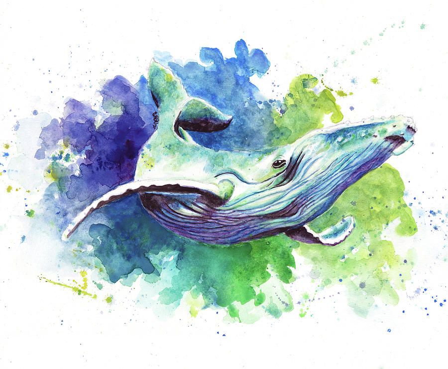 Watercolor Humpback Whale Photographgretchen Valencic Intended For Recent Humpback Whale Wall Art (View 6 of 20)