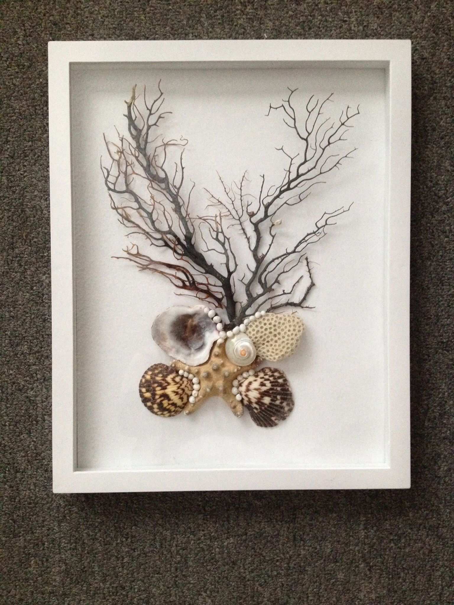White Shadow Box With Sea Shells, Coral And Sea Fan | Seashell Wall Art Intended For Most Up To Date Shadow Box Wall Art (View 3 of 20)