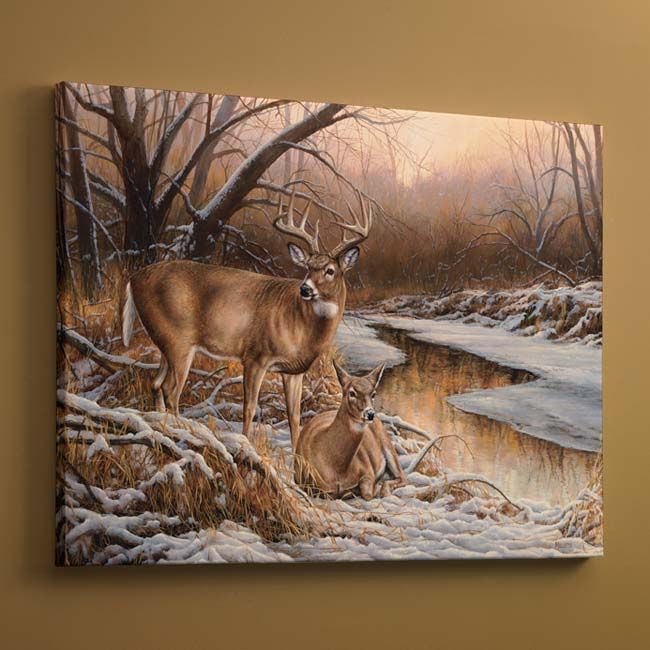 Winter Retreat Whitetail Deer Wrapped Canvas Giclee Art Print Wall Art Regarding Recent Deer Wall Art (View 18 of 20)