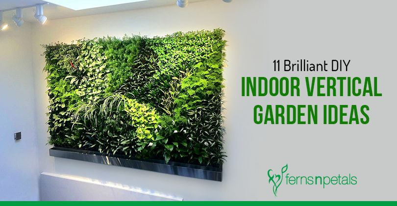 11 Brilliant Diy Indoor Vertical Garden Ideas – Ferns N Petals In Most Up To Date Inner Garden Wall Art (View 11 of 20)