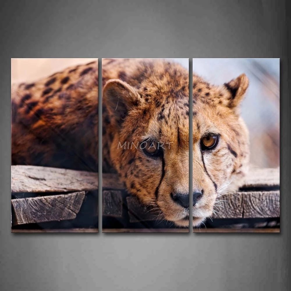 3 Peça Wall Art Peinture Cheetah Lie Sur Une Planche De Bois Photo  Reproductions Sur Toile Animaux 4 The Picture Home Decor Huile Affiches |  Aliexpress Intended For Best And Newest Cheetah Wall Art (View 8 of 20)