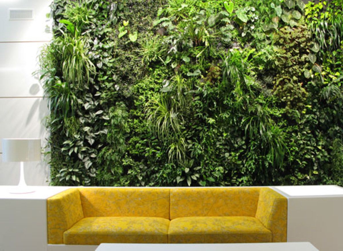 3 Vertical Garden Ideas – A Lovely Plant Wall In The Living Room Within Recent Inner Garden Wall Art (View 5 of 20)