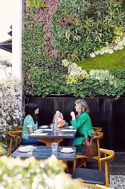 7 Restaurants With Magnificent Greenwalls Within 2018 California Living Wall Art (View 8 of 20)