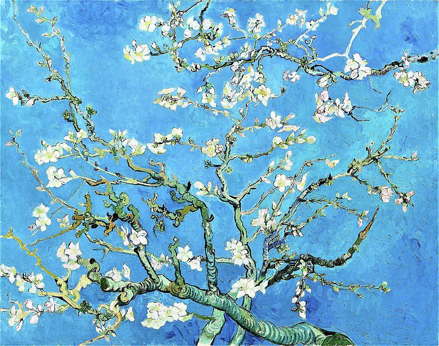 Almond Blossom – Digital Remastered Edition Paintingvincent Van Gogh –  Fine Art America With Latest Almond Blossoms Wall Art (View 17 of 20)
