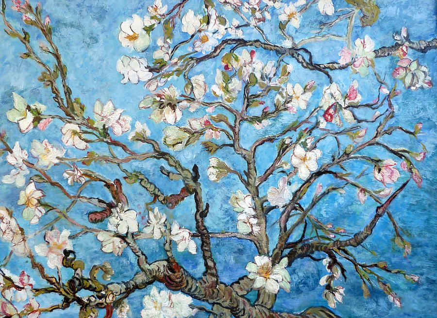Almond Blossoms Paintingtom Roderick – Fine Art America With Regard To Most Up To Date Almond Blossoms Wall Art (View 12 of 20)