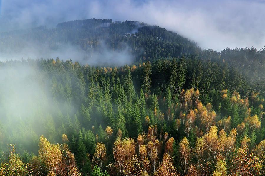 Autumn Mountains Fog Lendscape Photographwall Art Prints – Pixels Regarding 2018 Mountains In The Fog Wall Art (View 14 of 20)