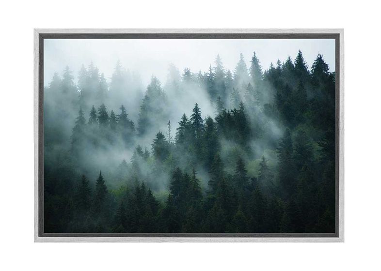Buy Misty Pine Forest 2 | Canvas Wall Art Print Online Australia With Regard To Current Misty Pines Wall Art (View 7 of 20)