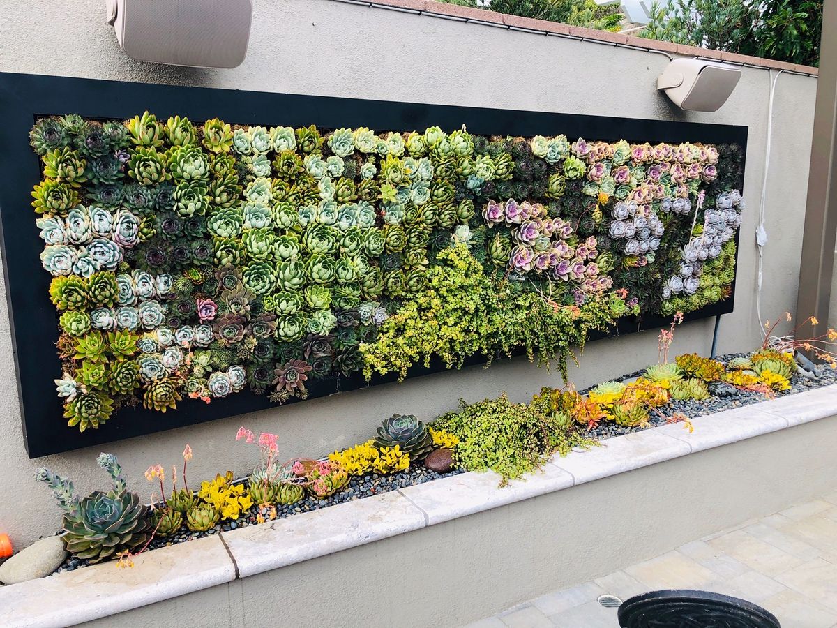 California Plantwalls : Outdoor Plant Wall Orange County Ca Intended For Best And Newest California Living Wall Art (View 14 of 20)