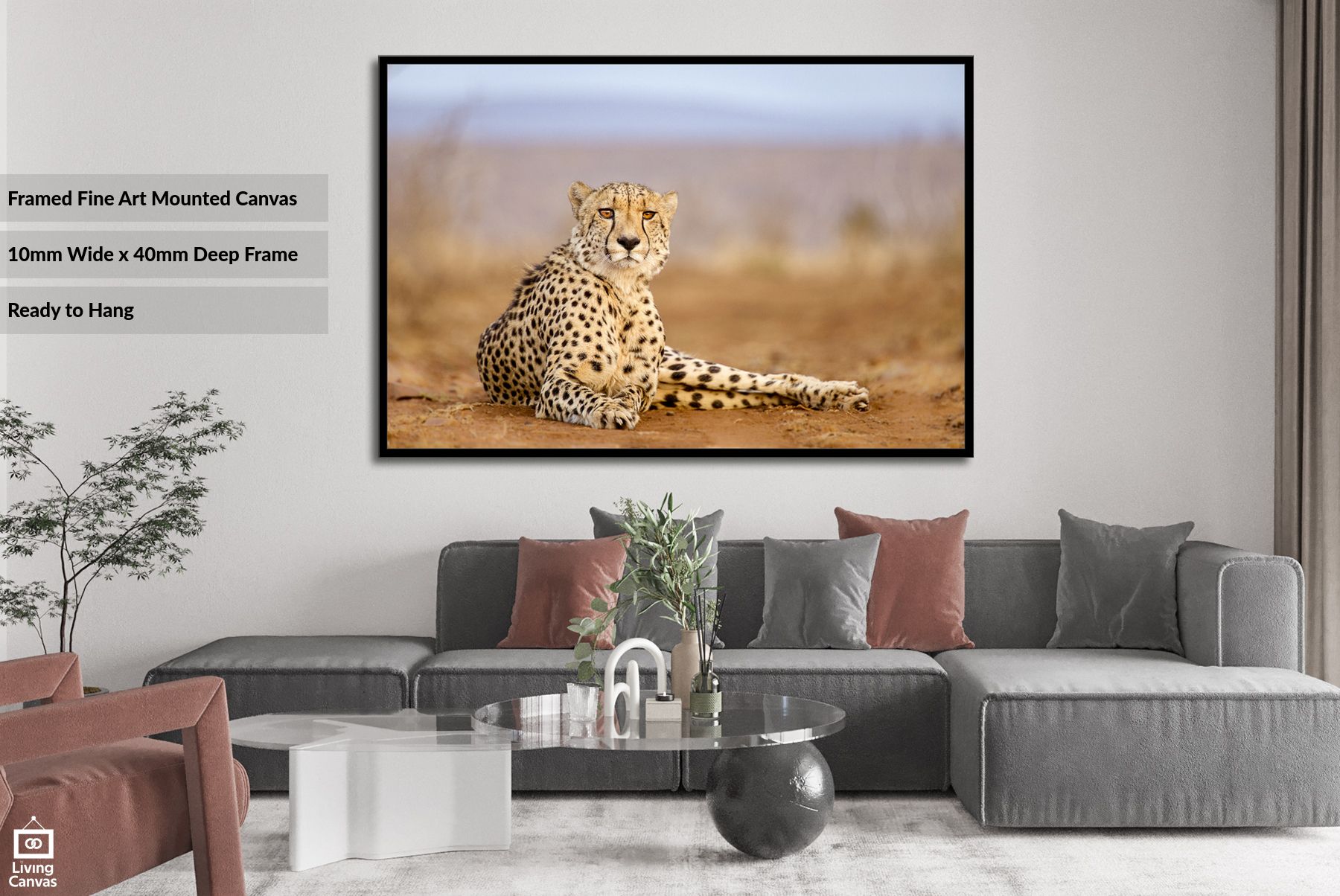 Cheetah Relaxing • African Wildlife Canvas Decor Wall Arts Within 2018 Cheetah Wall Art (View 17 of 20)