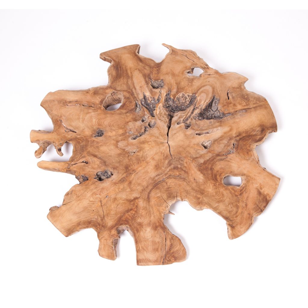 Convex Teak Root Wall Decor – Zenporium With Recent Roots Wood Wall Art (View 1 of 20)