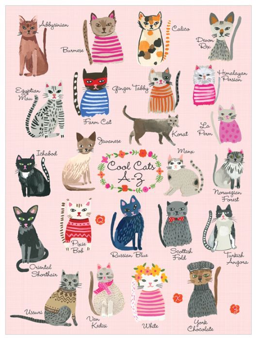 Cool Cats, Dogs & Cats Canvas Wall Art | Oopsy Daisy For Current Cats Wall Art (View 3 of 20)