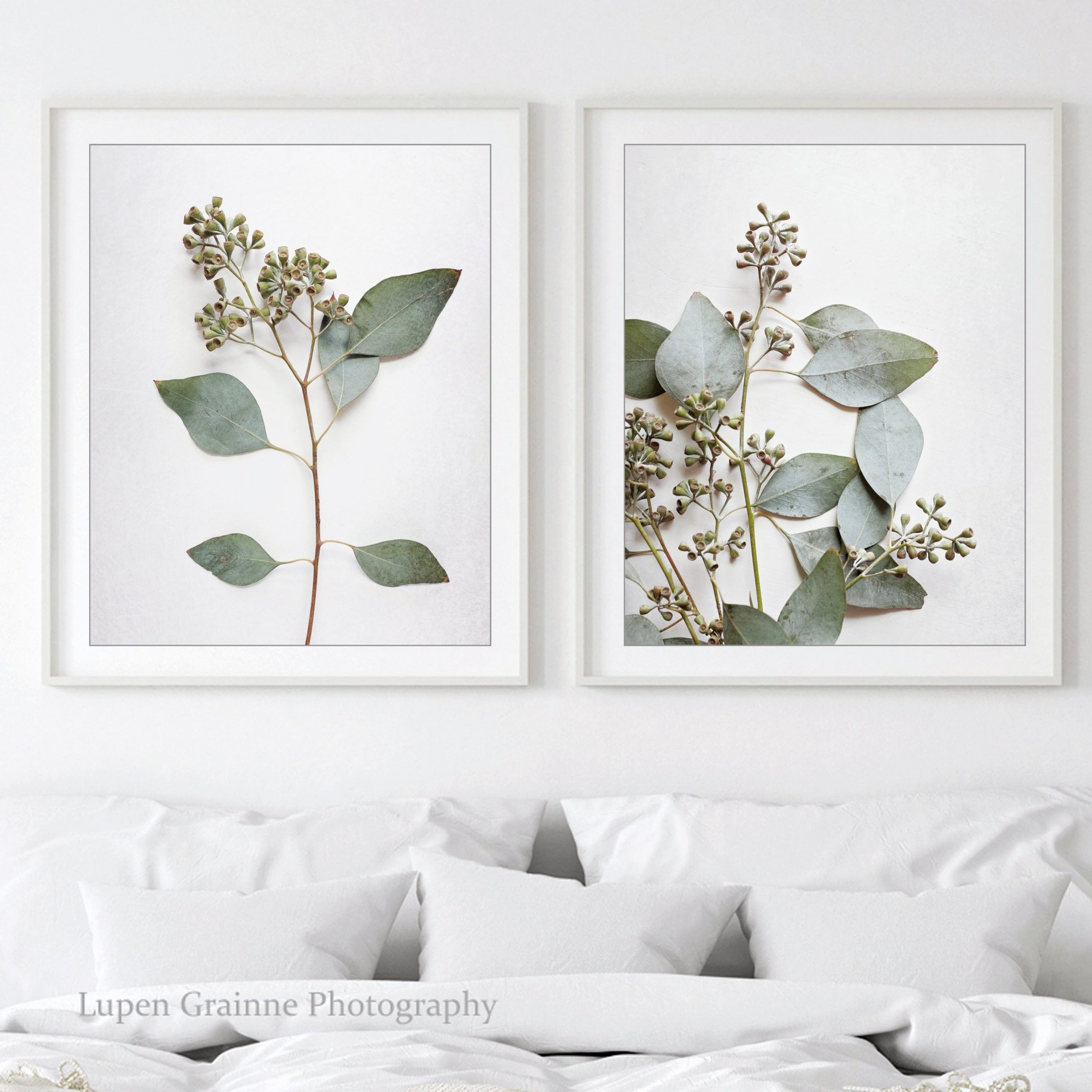 Eucalyptus Leaves Prints Set Of Two Prints Leaf Wall Art – Etsy India Intended For Latest Eucalyptus Leaves Wall Art (View 4 of 20)
