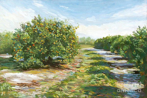 Florida Orange Grove Art – Fine Art America For Most Current Orange Grove Wall Art (View 4 of 20)